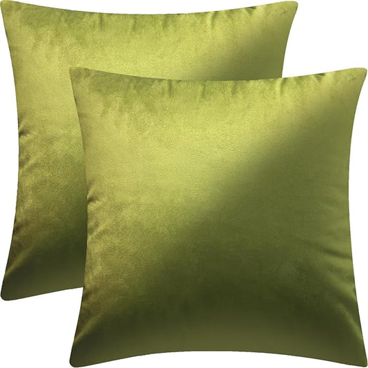 2 Pack 18x18 Pillow Cover Velvet Pillow Covers, Square Throw Pillow Covers for Living Room Decorations Throw Pillow Case, Throw Pillow Cover Cushion Cover for Sofa Bedroom Car, Emerald Green Velvet