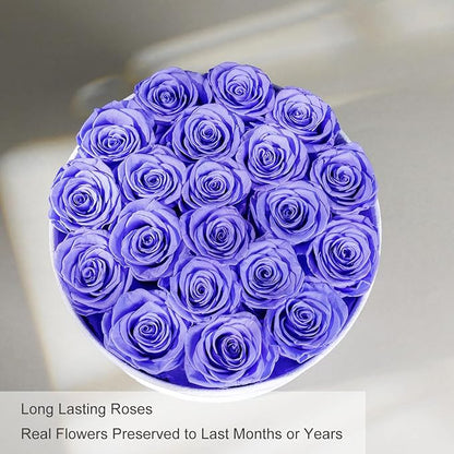 Gifts for Women Preserved Roses Flower Box, Luxury Velvet Box with 20 Roses, Preserved Flowers, Romantic Gift for Her, Wife, Girlfriend, Birthday Anniversary Christmas (Light Purple)