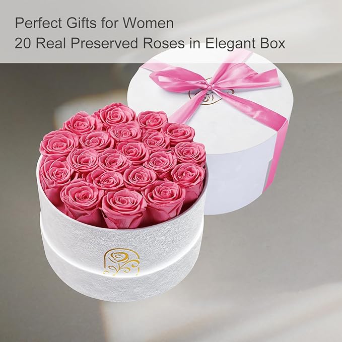 Gifts for Women Preserved Roses Flower Box, Luxury Velvet Box with 20 Roses, Preserved Flowers, Romantic Gift for Her, Wife, Girlfriend, Birthday Anniversary Christmas (Pink)