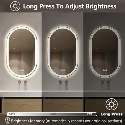 Niccy Oval LED Mirror for Bathroom, 40x24 Front Lit + Backlit Vanity Mirrors with Light Anti-Fog, Shatter-Proof, 3 Colors, Makeup Mirror with Old Gold Frame (Horizontal/Vertical)