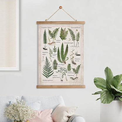XIAOAIKA Botanical Fern Varieties Poster - Vintage Illustrated Guide with Wooden Frame - Educational Plant Wall Art for Home, Office, or Classroom Decor 20 x 30 Inches