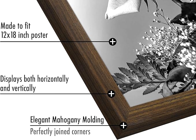 Americanflat 12x18 Poster Frame with Polished Plexiglass - Wide Picture Frames Made of Engineered Wood for Vertical or Horizontal Wall Display - Epic Collection - Mahogany