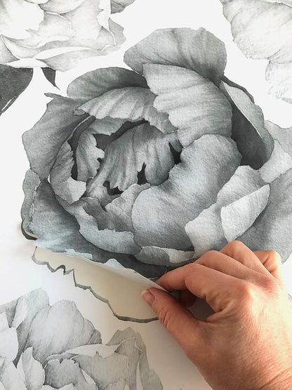 Peony Watercolor Wall Decals (Black and White Watercolor) - Flowers Decals for Wall - Botanical Bedroom Decor - Floral Peonies Grey Wall Stickers with Test Sample