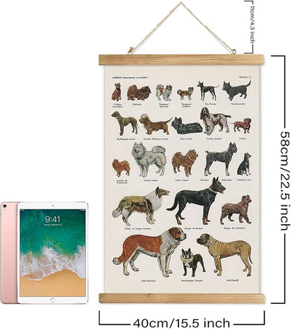 XIAOAIKA Classic Dog Breeds Illustrated Poster - Vintage Canine Varieties Wall Art with Wooden Hanger - Educational and Decorative Print for Pet Lovers and Breeders 16 x 23 Inches