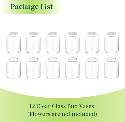 Hewory Small Bud Vases Set of 12: Clear Glass Vases for Flowers - Modern Bud Vase Bulk for Wedding Centerpieces Baby Shower Parties Rehearsal Dinner Table Decorations