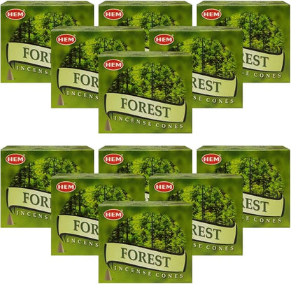 TRUMIRI Forest Incense Cones & Cone Incense Burner Bundle: 120pcs (12 Sets of 10pcs)