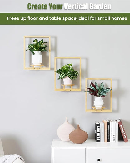 yadoker Wall Planters for Indoor Plants,Bamboo Hanging Plant Holders, Wall Decor Plant Stand, 3-Pack Window Plant Shelves for Living Room & Entryway