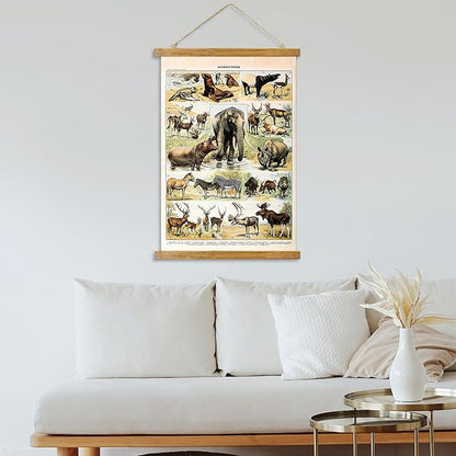 ABoby Vintage Illustrated Wildlife Chart Posters - Educational Animal Wall Art for Schools Homes - Retro Style Painting with Wood Frames