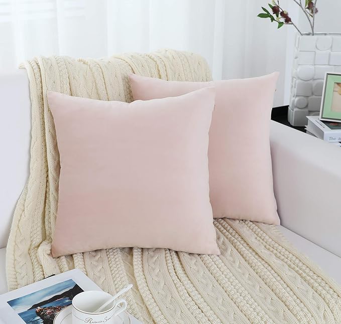 Jeneoo Comfy Soft Velvet Throw Pillow Covers for Sofa Couch, Decorative Solid Square Cushion Cases for Bedroom Car (Baby Pink, 20 x 20 Inches, 2 Pieces)