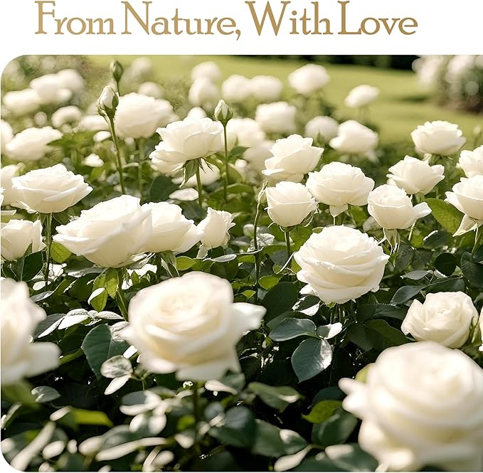 27 Preserved Flowers Rose Birthday Gifts for Women Her Mom Wife Girlfriend Grandma on Valentines Mothers Day Christmas Anniversary Romantic(White)