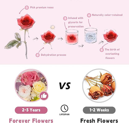 Eternal Flowers for Decoration: Preserved Flowers in Glass Dome, Unique Forever Flower Gift for Her BBF – Perfect flower arrangement for Home Décor - Flowers for Delivery Prime (Red)