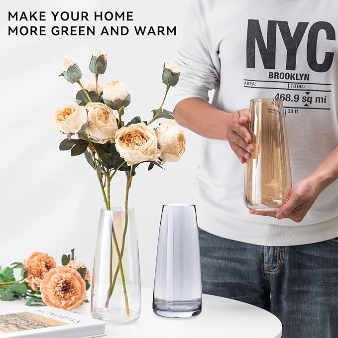 Ekirlin Modern Glass Vase, 8.7 inch Irised Crystal Clear Glass Vase, Thickened Hand Blow Flower Vase Round Bottles for Home Decor, Bookshelf, Room, Office Decor (Crystal Amber)