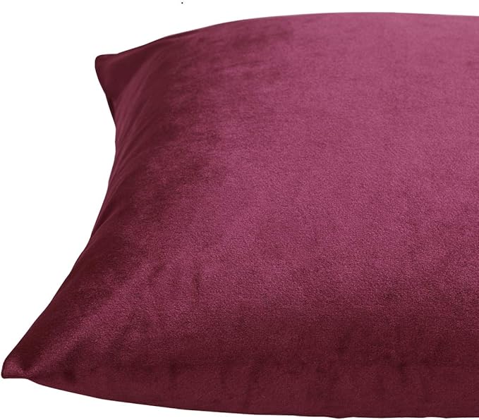 GIGIZAZA Burgundy Velvet Pillow Covers: Pack of 2 Throw Pillows Soft Solid Covers 16x16 - Decorative Couch Small Cushion Covers Used for Chrismas Room Decor,Living Room,Bedroom,Sofa