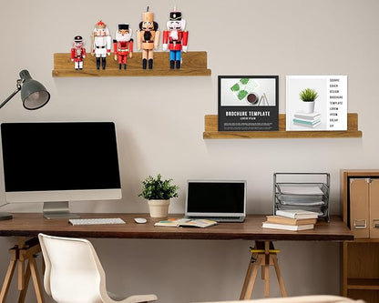 Blulu 12 Packs 14 Inch Acrylic Floating Shelf Wall Mounted Invisible Acrylic Shelf Ledge Kids Floating Bookshelf for Living Room Office Bedroom Bathroom Kitchen Decoration Space Save (Dark Brown)