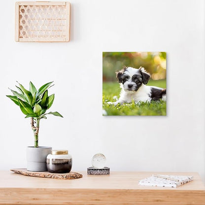 YYYYHPP Canvas Prints with Your Photos, Personalized Photo to Canvas Wall Art,Canvas Printing for Wedding, Family, Baby, Pets, Home Office Decor, Wrapped Frame 10"x10"