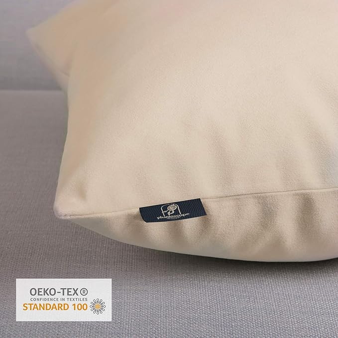 Phantoscope Pack of 2 Velvet Decorative Throw Decorative Pillow Cover Soft Solid Square Cushion Case for Couch Beige 20 x 20 inches 50 x 50 cm