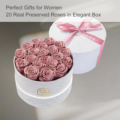Gifts for Women Preserved Roses Flower Box, Luxury Velvet Box with 20 Roses, Preserved Flowers, Romantic Gift for Her, Wife, Girlfriend, Birthday Anniversary Christmas (Dusty Pink)