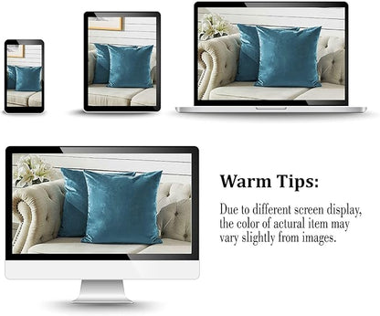 FY FIBER HOUSE Pack of 2 Velvet Throw Pillow Covers Decorative Square Pillowcase Soft Solid Cushion Case for Sofa/Couch Use, 16 x 16 Inch, Light Blue