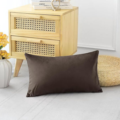 Artscope Luxury Velvet Pillow Covers Decorative Rectangle Pillowcases Soft Solid Cushion Cases for Couch Sofa Bedroom Car Decor 12x20 Inch Chocolate Brown
