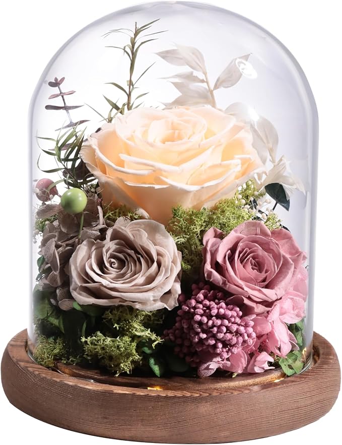 Lovenfold Flowers for Delivery Preserved Rose Gifts for Her,Forever Roses Flowers in Glass Dome,Birthday Gifts for Women Mom Wife Friend(Champagne Rose)