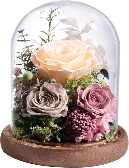 Lovenfold Flowers for Delivery Preserved Rose Gifts for Her,Forever Roses Flowers in Glass Dome,Birthday Gifts for Women Mom Wife Friend(Champagne Rose)