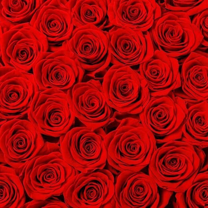 Gifts for Women Preserved Roses Flower Box, Luxury Velvet Box with 40 Roses, Preserved Flowers, Romantic Gift for Her, Wife, Girlfriend, Birthday Anniversary Christmas (Red)