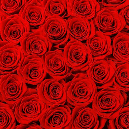Gifts for Women Preserved Roses Flower Box, Luxury Velvet Box with 40 Roses, Preserved Flowers, Romantic Gift for Her, Wife, Girlfriend, Birthday Anniversary Christmas (Red)