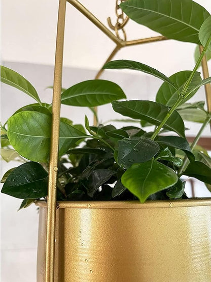 Metal Plant Hanger,Hanging Planters Indoor Hanging Flower Pots (Gold)…