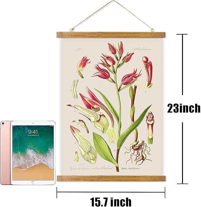 ABoby Vintage Flower Poster, Decorative Botanic Chart Wall Art Prints, Printed on Linen with Wood Frames, Ready to Hang