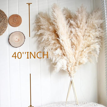 10pcs 40'' Pampas Grass Tall Decor - Pompas Floral, Tall Pampas Grass for Floor Vases, Living Room Floor, Floor Plants, Plumas para, and Grass Wall Decor