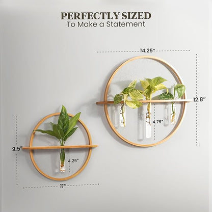 Plant Propagation Stations - Set of 3 Bamboo Wall Planters for Indoor Plants with 5 Glass Plant Propagation Tubes | Propagation Vases for Plants | Aesthetic Plant Wall Decor
