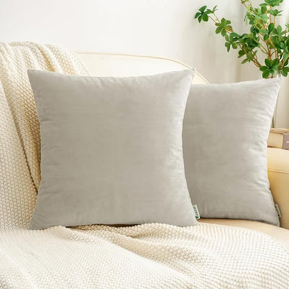 HWY 50 Silver Gray Velvet Throw Pillow Covers 22x22 Inch, Pack of 2 Soft Cozy Solid Decorative Luxury Cushion Cases for Couch Sofa Bed Living Room Bedroom