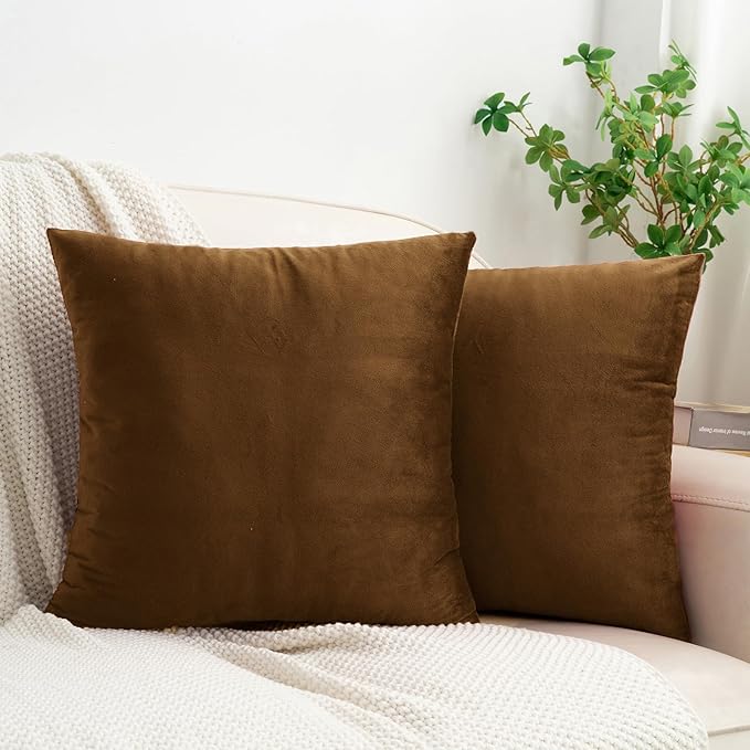 HWY 50 Coffee Velvet Throw Pillow Covers 16x16 Inch, Pack of 2 Soft Cozy Solid Decorative Luxury Cushion Cases for Couch Sofa Bed Living Room Bedroom