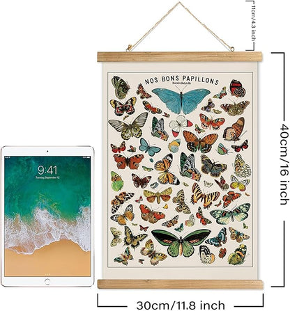 XIAOAIKA Vintage Butterfly Species Poster - Illustrated Educational Chart with Wooden Frame - Entomology Wall Art for Nature Lovers, Classrooms, and Home Decor 12 x 16 Inches
