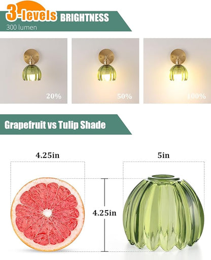 Tulip Lamp Shades Replacement, 5" Dia. * 4.25" H Green Glass Sconce Shade Heavy and Thick for Wall Sconces Pendant Lights Ceiling Lights Chandelier, 2 Pack