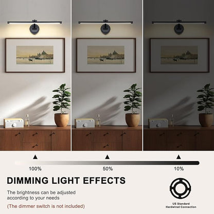 Hardwired 23.6 Inch 14W Black Picture Lights for Wall LED Picture Frame Light Dimmable Painting Lights for Wall Portrait Artwork Warm White