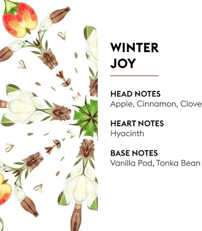 MAISON BERGER - Winter Joy Home Fragrance Refill, 1L (33.8 Fluid Ounces) - Catalytic Diffuser Air Purifier - Holiday Scent - 160h Diffusion - French Luxury for Lampe Berger
