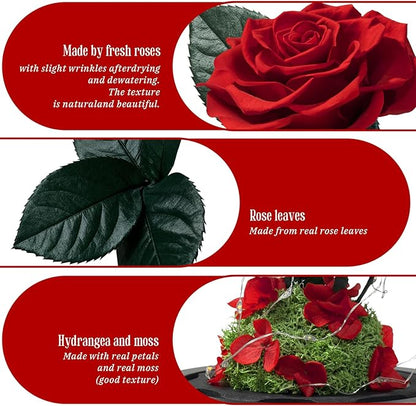 3 Preserved Flowers Roses in Glass Dome with Light for Beauty and The Beast Decor Real Rosas Eternas for Women Mom Birthday,Forever Red Roses for Delivery, Gifts for Wife Girlfriend Her