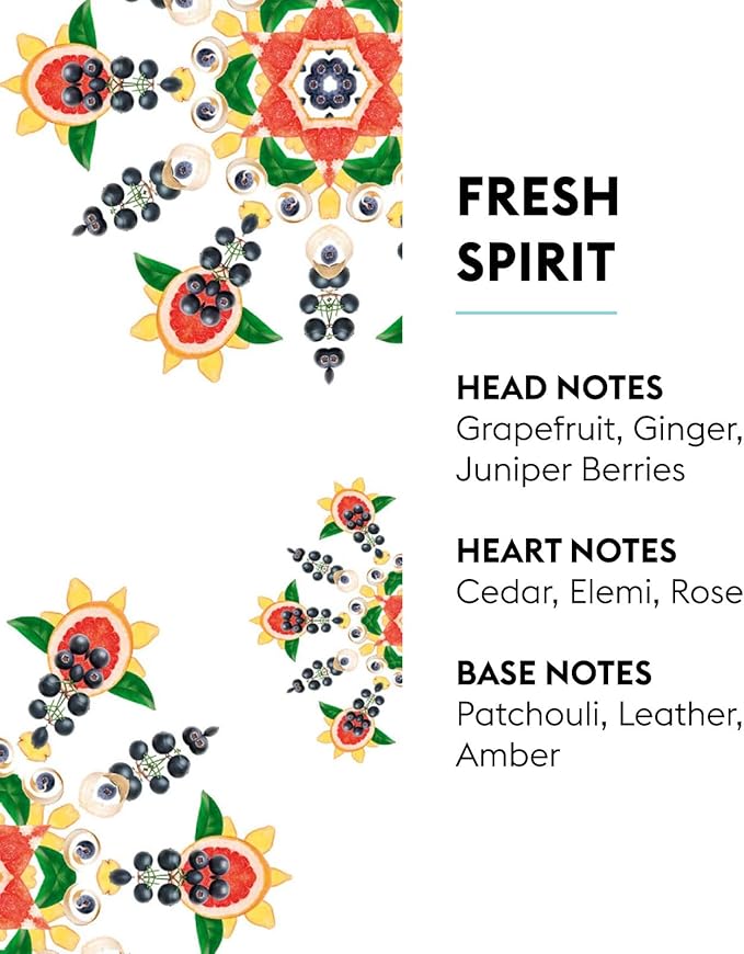 MAISON BERGER Fresh Spirit Lampe Berger Refill, 500 ml (16.9 fl oz), Odor-Neutralizing Home Fragrance Oil Lamps, Grapefruit, Ginger, Juniper Berries, Cedar, Elemi, Made in France
