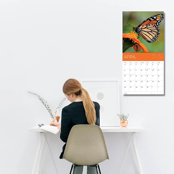 Butterflies Wall Calendar 2026 | 12" x 24" Open | Giftable Nature Calendar 2026 | Thick & Sturdy Paper for Organizing & Planning | Pacific Waters Press (Butterflies)