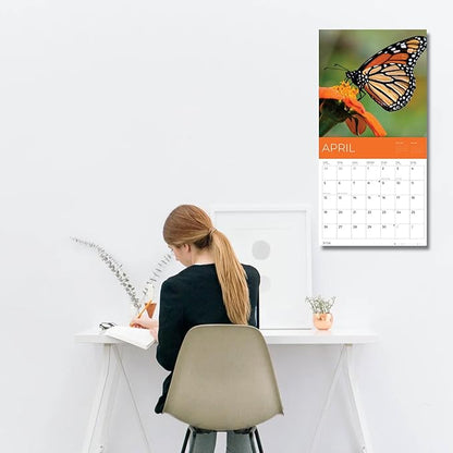 Butterflies Wall Calendar 2026 | 12" x 24" Open | Giftable Nature Calendar 2026 | Thick & Sturdy Paper for Organizing & Planning | Pacific Waters Press (Butterflies)