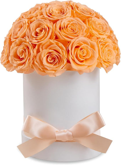27 Forever Roses Dome in Luxury White Box, Eternal Real Roses Birthday Gifts for Women, Preserved Flowers for Delivery Prime, Anniversary, Valentine's Day, Mothers Day for Mom (Champagne)