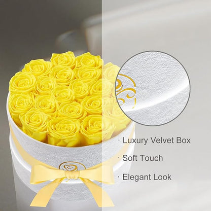 Gifts for Women Preserved Roses Flower Box, Luxury Velvet Box with 20 Roses, Preserved Flowers, Romantic Gift for Her, Wife, Girlfriend, Birthday Anniversary Christmas (Yellow)