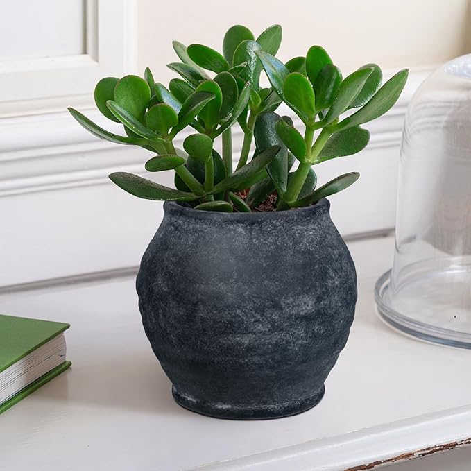 Briful 5.91'' Large Ceramic Black Rustic Vase, 4.72'' Wide Mouth Pampas Jar Vase Pottery for Fake Flowers Branches, Farmhouse Home Decor, Weddings Shelf Table Decor