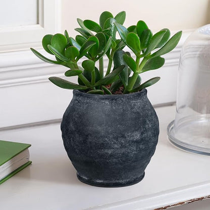 Briful 5.91'' Large Ceramic Black Rustic Vase, 4.72'' Wide Mouth Pampas Jar Vase Pottery for Fake Flowers Branches, Farmhouse Home Decor, Weddings Shelf Table Decor