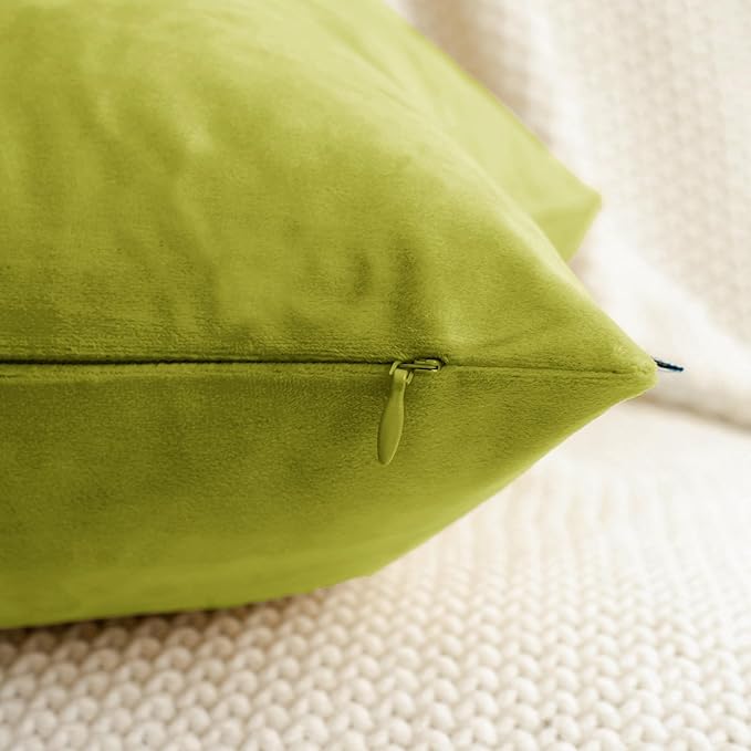 HWY 50 Leaf Green Velvet Throw Pillow Covers 20x20 Inch, Pack of 2 Soft Cozy Solid Decorative Luxury Cushion Cases for Couch Sofa Bed Living Room Bedroom