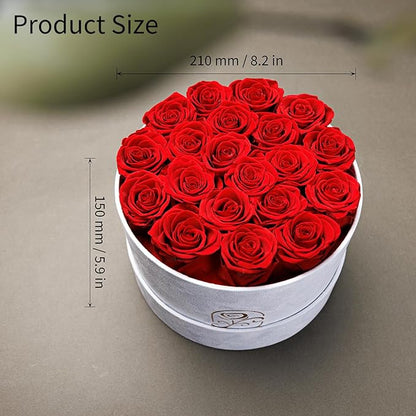Gifts for Women Preserved Roses Flower Box, Luxury Velvet Box with 20 Roses, Preserved Flowers, Romantic Gift for Her, Wife, Girlfriend, Birthday Anniversary Christmas (Red)