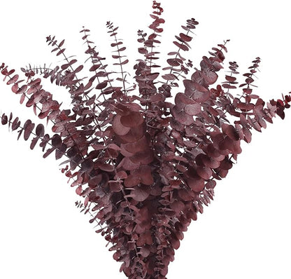 Real Dried Eucalyptus Stems, 20Pcs 17inch Red Preserved Fresh Eucalyptus Stems Plant for Home Vase Wedding Festival Floral Arrangement Fall Decoration