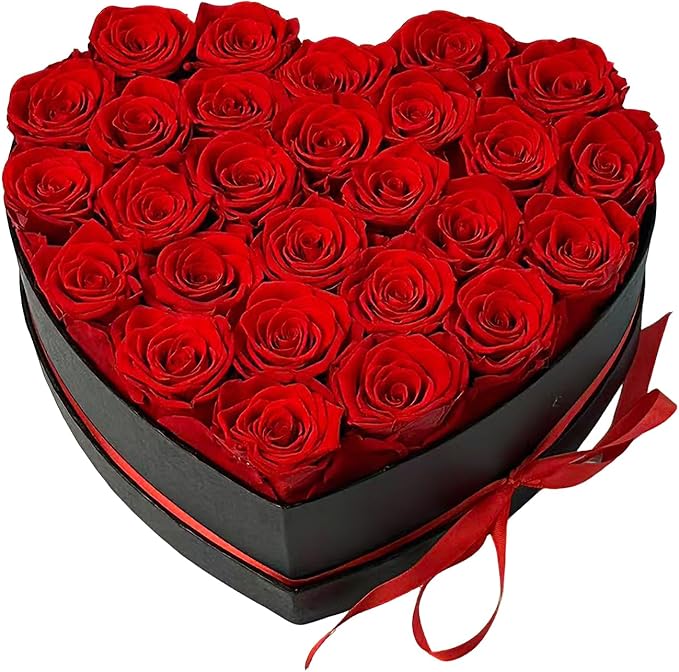 Preserved Roses Heart Shape Box Valentines Day Gifts for Her Mothers Day Forever Flowers (Red, 27 Roses)