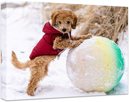 Personalized Photo to Canvas Print - Canvas Prints With Your Photos on Custom Wall Art for Bedroom, Living Room, Wedding Baby Pet Family Picture Framed Wall Art (20" W x 16" H)